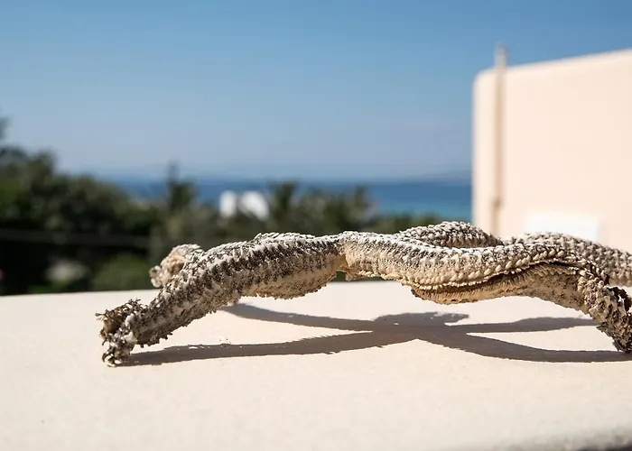 Filoxenes Katoikies Diakófti